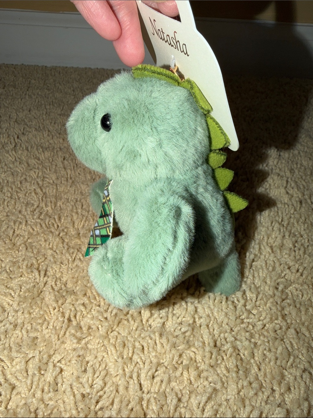 Natasha Plush Dinosaur Keychain/Bag Charm - Mint Green with Patterned Tie - Picture 6 of 8